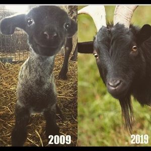 Meet your Posher, Brandon